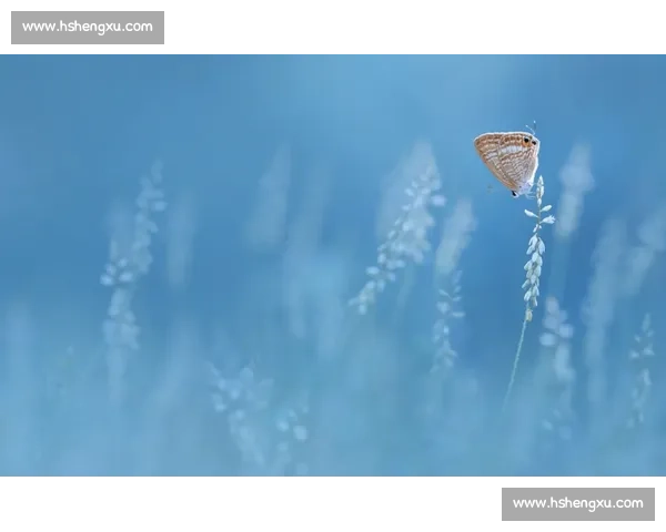 苏超全派青训能成吗？现实与潜力的博弈